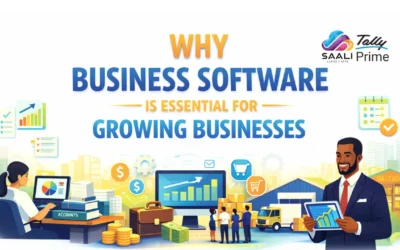 Why Business Software is Essential for Growing Businesses in Tanzania