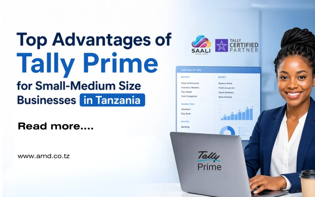 Top Advantages of Tally Prime for Small-Medium Size Businesses in Tanzania