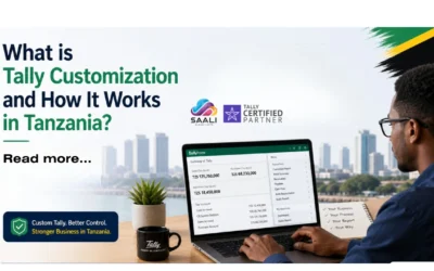 What is Tally Customization and How It Works in Tanzania?